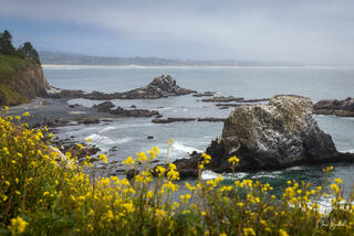 Spring Tides