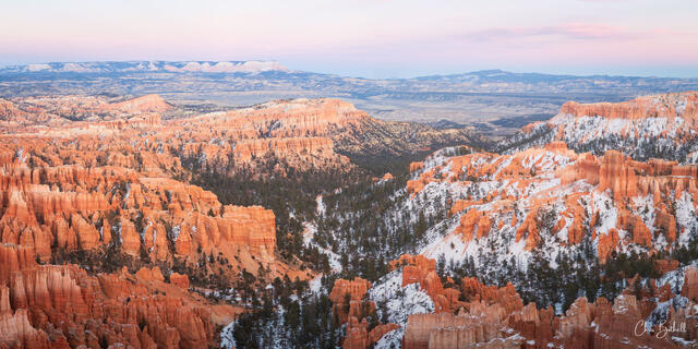 Serenity of Bryce Canyon