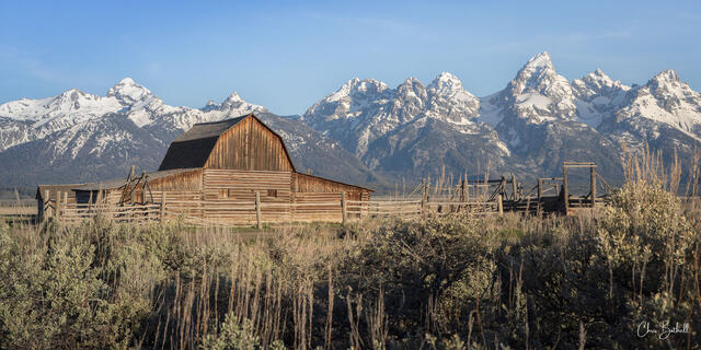 Mormon Row Morning