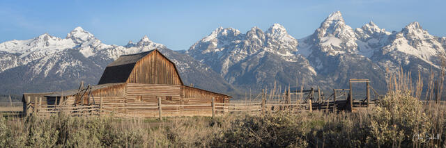 Mormon Row Morning