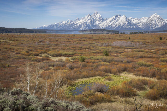 Teton Oasis