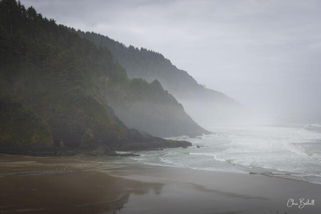 Shades of Oregon