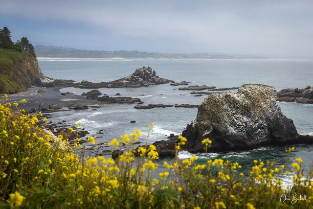 Spring Tides