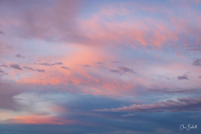 Cotton Candy Clouds