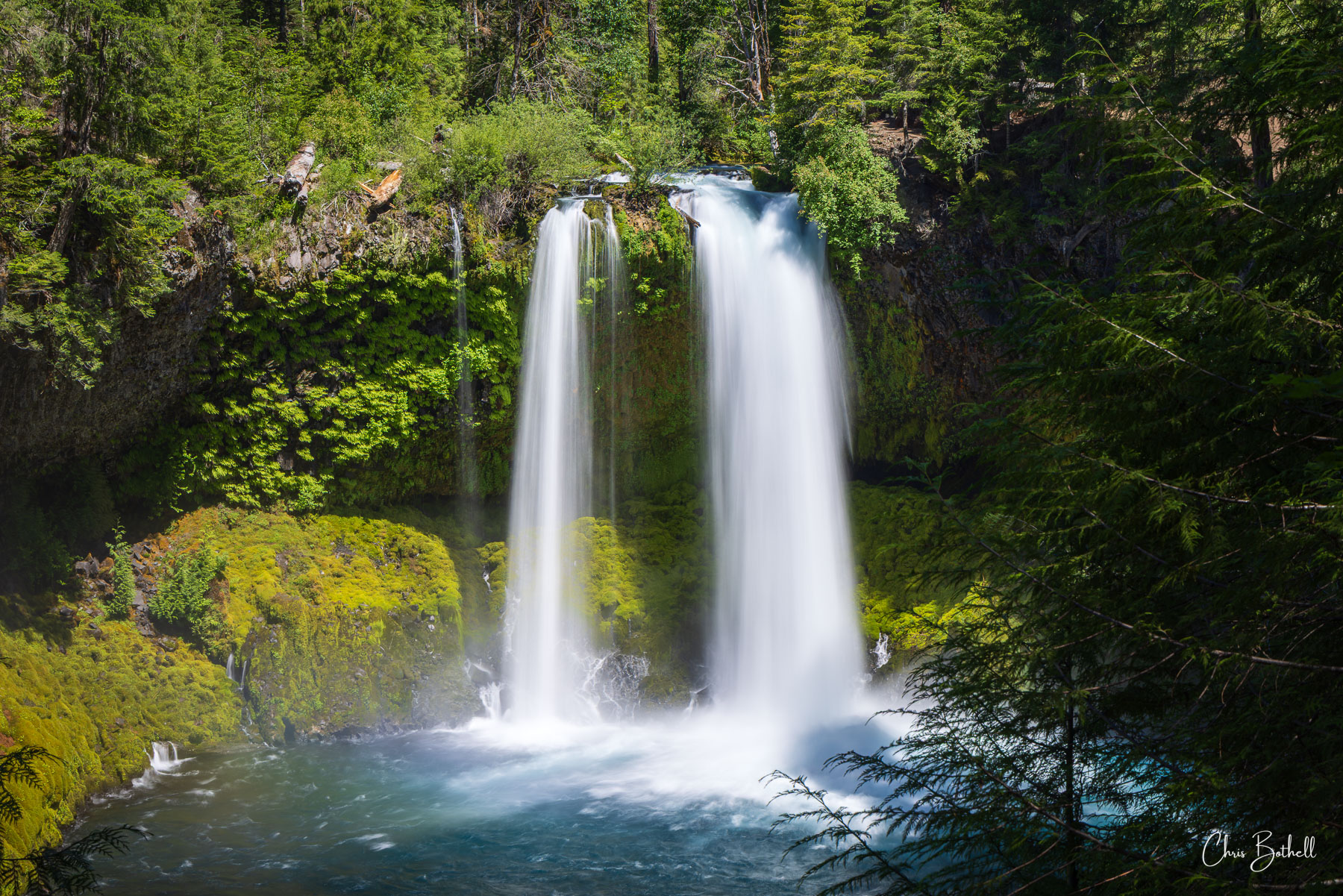 Koosah Curtain Where the deep forest meets rushing waters, a hidden haven breathes with life and the constant movement of Koosah Falls.
