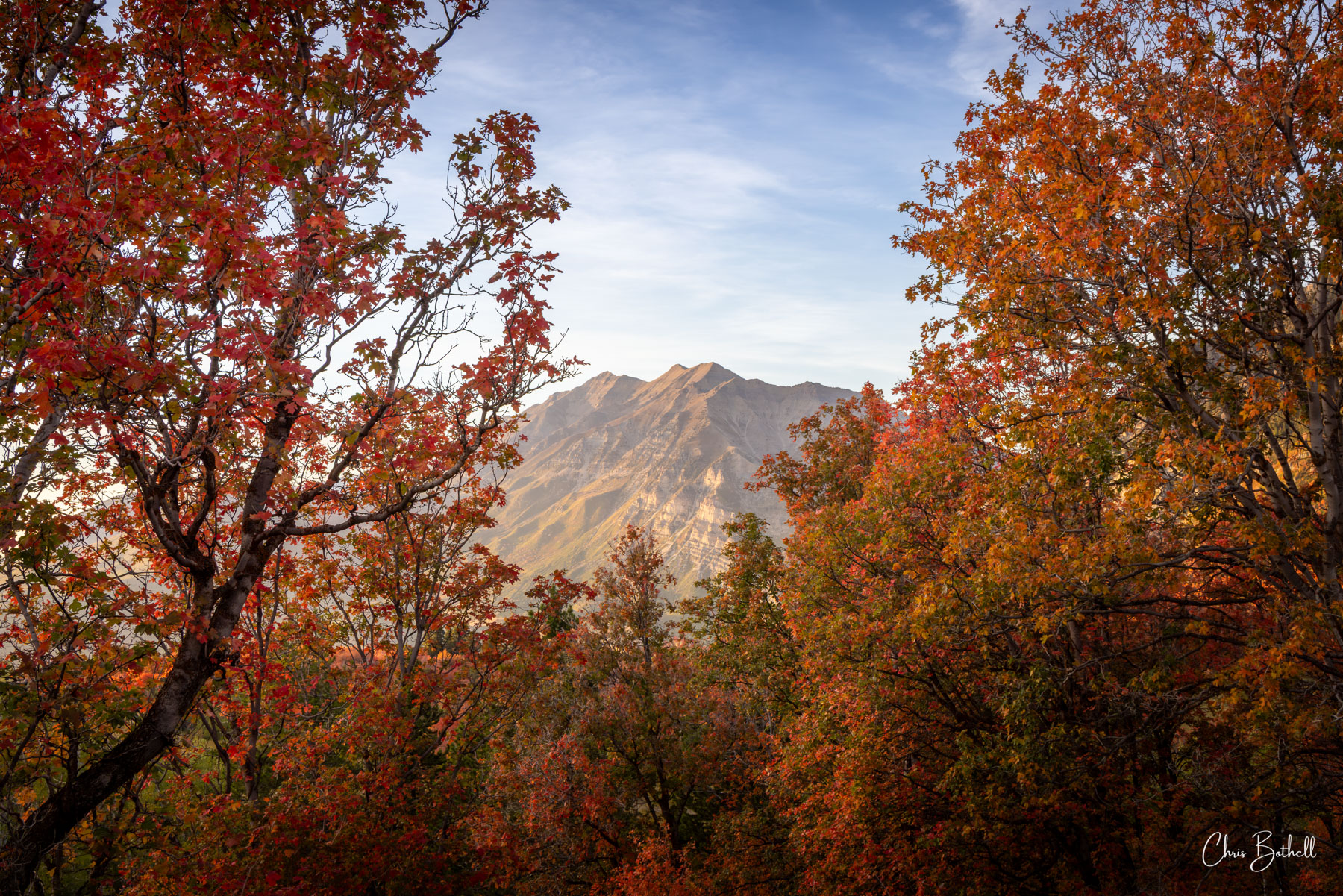 Autumn Embers Mount Timpanogos can be seen through the window of vibrant red and orange trees burning with the colors of Utah's autumn palette...